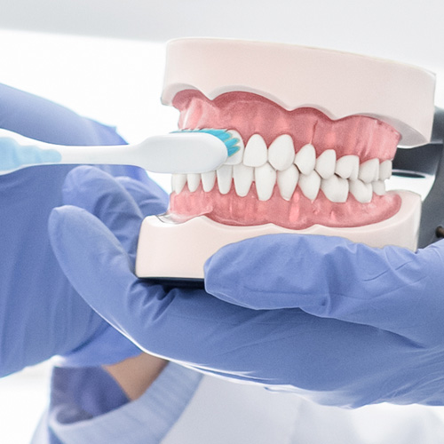 活動式假牙的清潔 這4個步驟不能省
